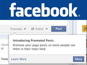 Facebook запустил продвигающие публикации и разнообразил премиум-рекламу