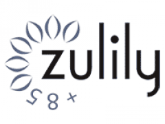 Andreessen Horowitz сделала сервис распродаж Zulily миллиардером