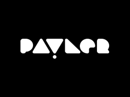 Payler: новый подход