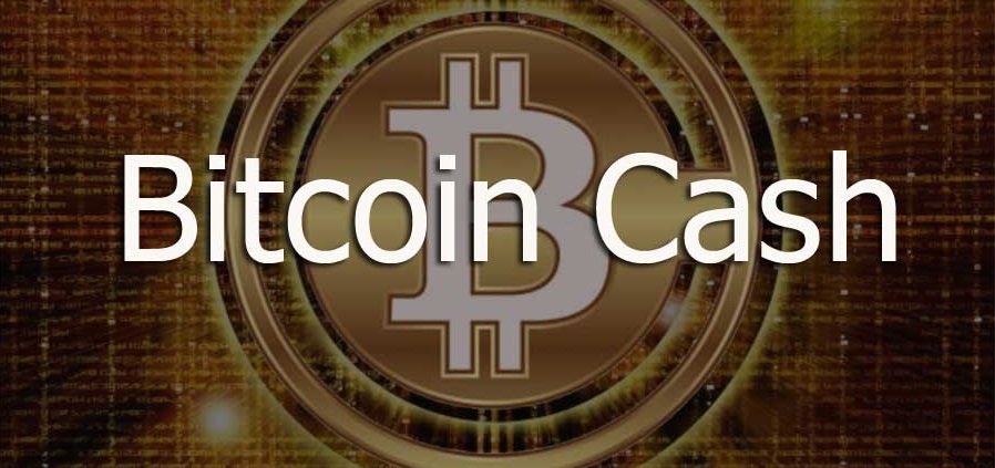 Обзор Bitcoin Cash: полезная информация, кошелек и курс биткоин кеш, прогнозы стоимости