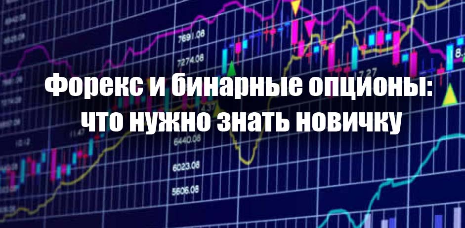 Форекс и бинарные опционы: что нужно знать новичку