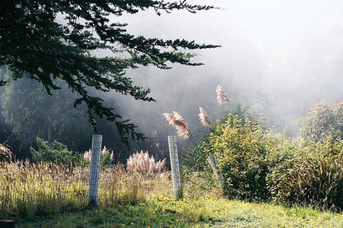 Образцы невероятных фотографий тумана для вдохновения