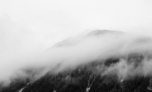 Образцы невероятных фотографий тумана для вдохновения
