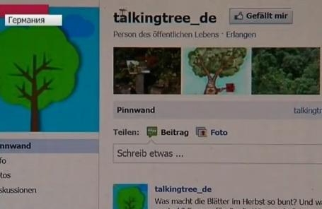 У векового дуба из Германии появился собственный микроблог