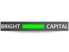 Фонд Bright Capital Digital стал совладельцем немецкого интернет-аукциона