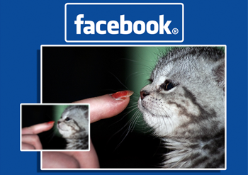 Facebook запускает широкоформатный просмотр фотографий 