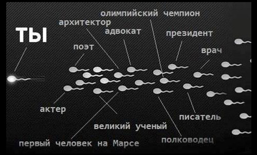 Кто вы, господин ментор?