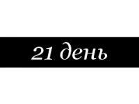 21 день — обучающий интернет-проект