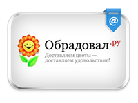 Разбор в деталях и работа над ошибками сервиса Obradoval.ru Разбор в деталях и работа над ошибками сервиса Obradoval.ru