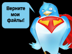 Негодование в Twitter: ФБР, верните мне файлы, которые я хранил на Megaupload