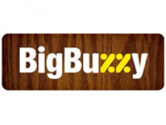 Купонный сервис «BigBuzzy» подал заявление о банкротстве