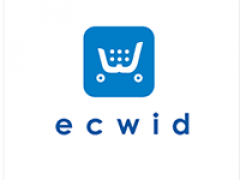 Российский разработчик интернет-магазинов Ecwid стал лидером электронной коммерции в Facebook