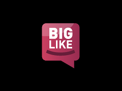 Biglike — «сарафанное радио» нового поколения 