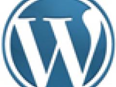 WordPress используется в 48% первой сотни блогов со всего мира