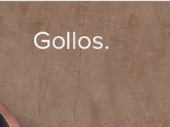 Аренда интернет-магазинов на платформе Gollos