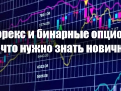 Форекс и бинарные опционы: что нужно знать новичку