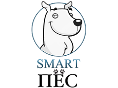 Smart Пес — удаленное управление оборудованием дома