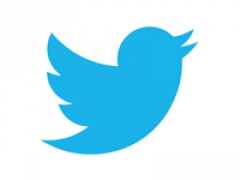 Финансовая компания PrivCo прогнозирует выход Twitter на биржу в 2013 году